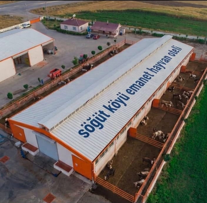 HEKİMHAN’A “EMANET HAYVAN OTELİ” KURULUYOR
