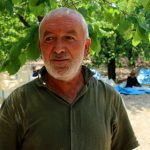 Yüksek Rakımlı Kurşunlu Mahallesi’nde Kayısı Hasadı Başladı